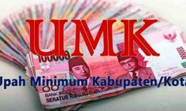 Usulan UMK Pekanbaru 2024 Naik Rp 132 Ribu , DPRD Pekanbaru Siap Akomodir Hak Pekerja