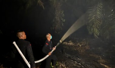 Dansat Brimob Riau Bersama Personelnya Berjibaku Padamkan Api Hingga Malam