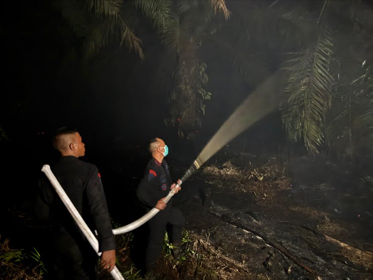 Dansat Brimob Riau Bersama Personelnya Berjibaku Padamkan Api Hingga Malam